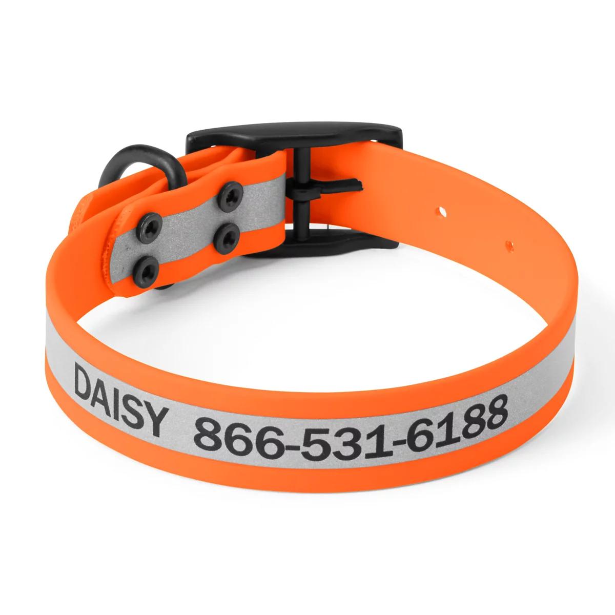 Orvis Waterproof Dog Collar