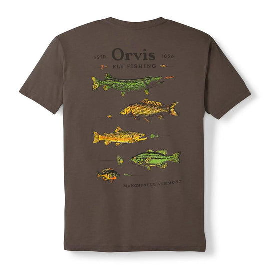 Men’s Freshwater Fish Graphic T-Shirt
