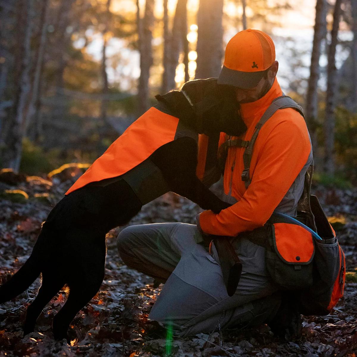 Hi-Vis Dog Field Vest