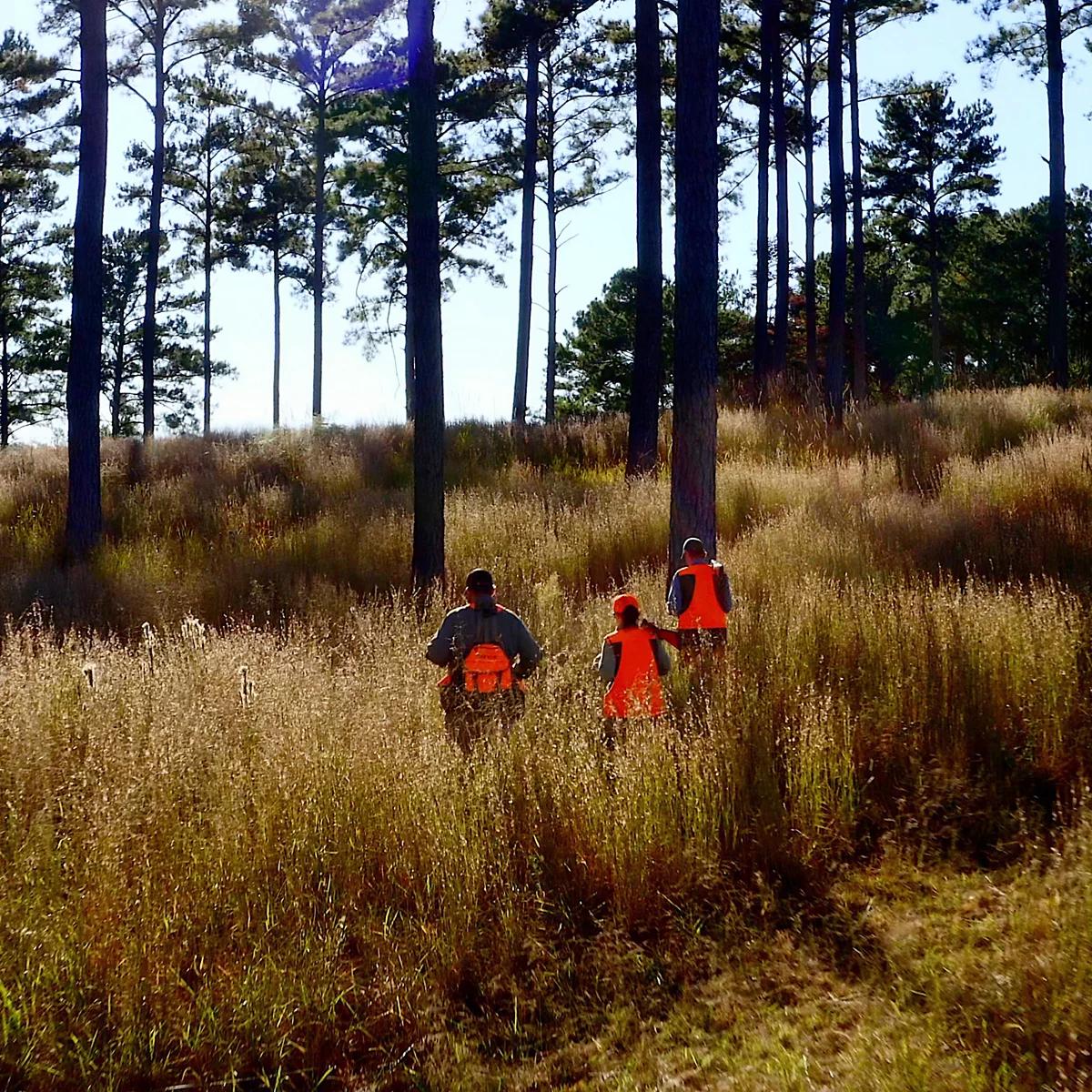 Orvis Two-Day Quail School At Pursell Farms, AL