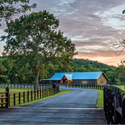 Orvis Two-Day Quail School At Pursell Farms, AL
