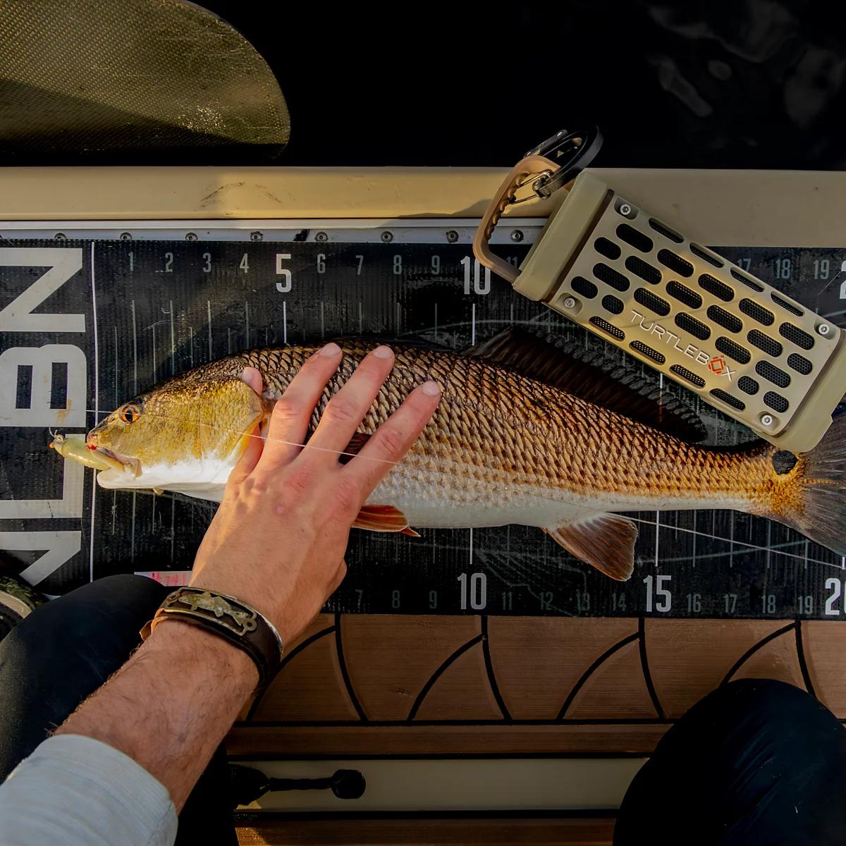 Turtlebox® Ranger Mini Speaker