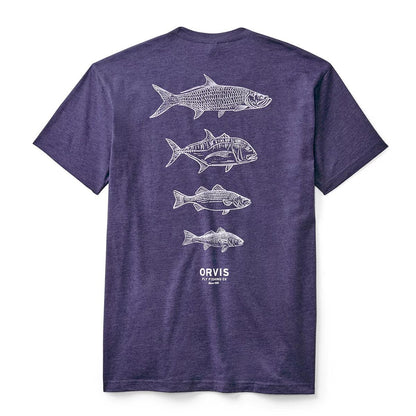Men’s Saltwater Fish Graphic T-Shirt