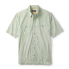 Silver Pine/Celadon Ikat Print